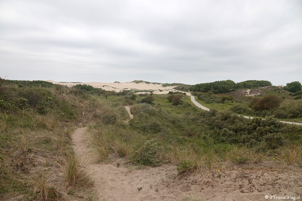 Nationaal Park Zuid-Kennemerland tijdens mijn NS-wandeling Kennemerduinen