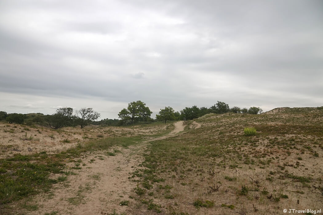 Nationaal Park Zuid-Kennemerland tijdens mijn NS-wandeling Kennemerduinen