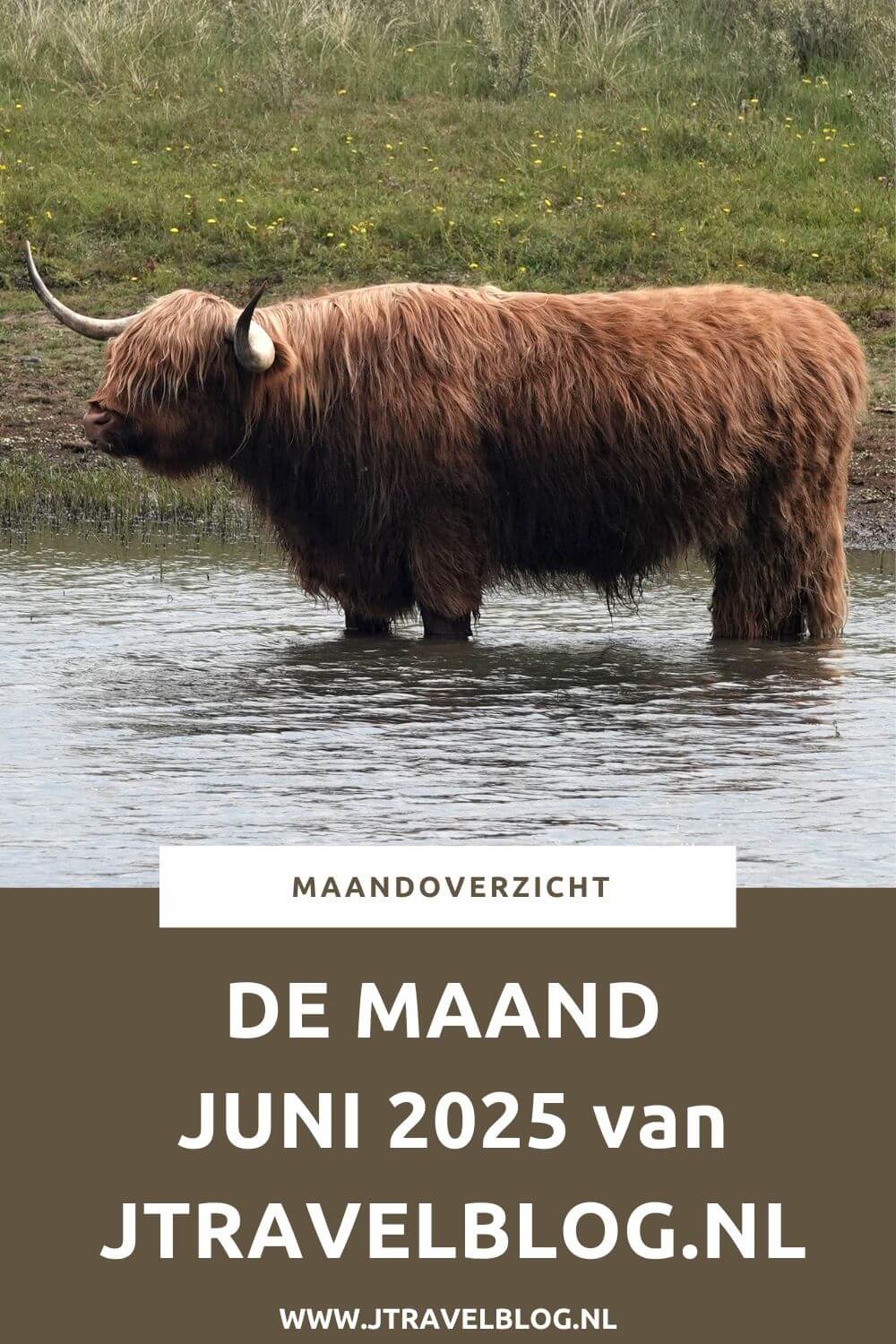 In juni 2025 bezocht ik Natuurpark Lelystad, liep ik de zesde en zevende etappe van het Pad van de Vrijheid en ik maakte een NS-wandeling in de Kennemerduinen. Meer hier over lees je in dit maandoverzicht. #maandoverzicht #juni2025 #padvandevrijheid #natuurparklelystad #kennemerduinen #wandelen #jtravelblog #jtravel