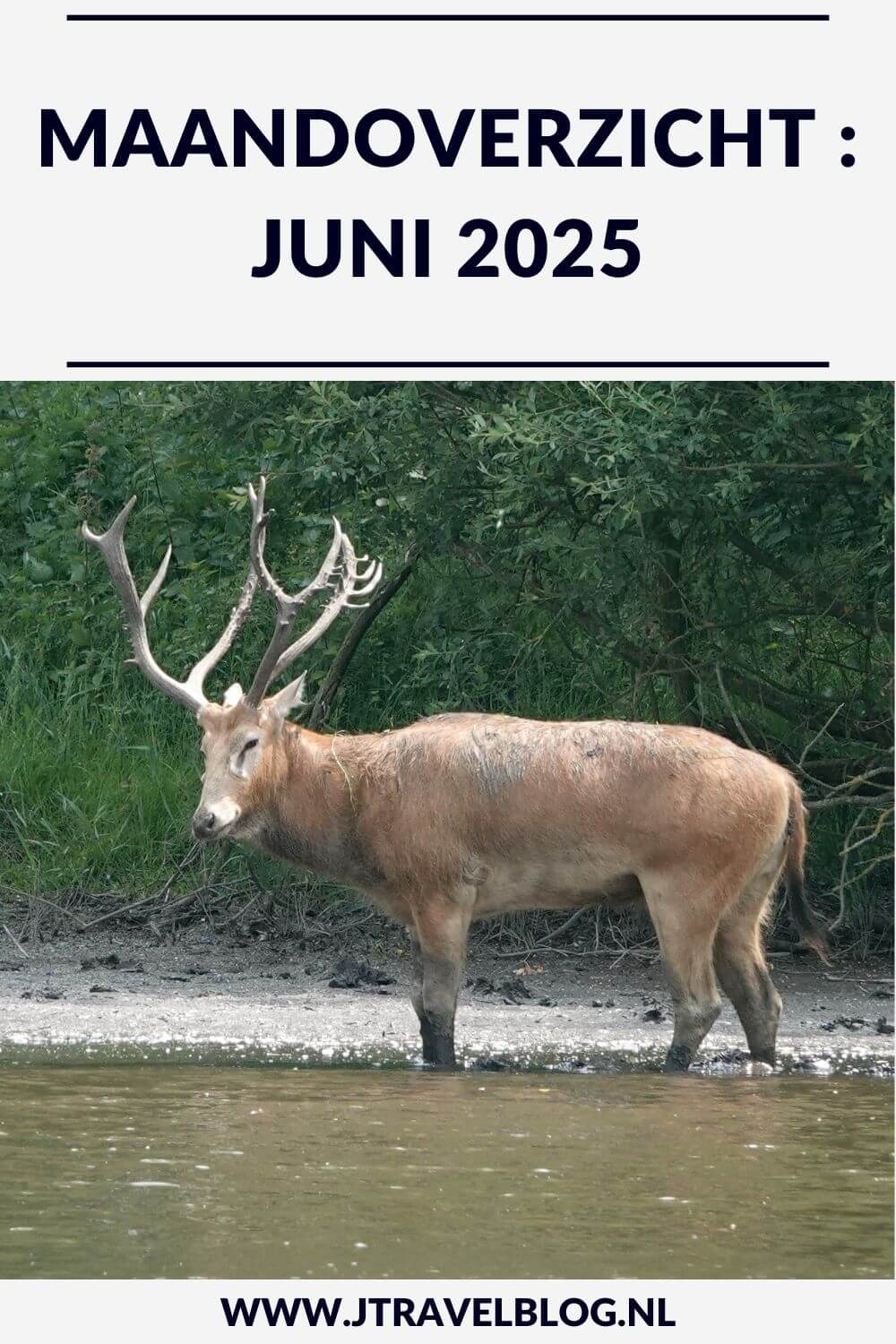 In juni 2025 bezocht ik Natuurpark Lelystad, liep ik de zesde en zevende etappe van het Pad van de Vrijheid en ik maakte een NS-wandeling in de Kennemerduinen. Meer hier over lees je in dit maandoverzicht. #maandoverzicht #juni2025 #padvandevrijheid #natuurparklelystad #kennemerduinen #wandelen #jtravelblog #jtravel