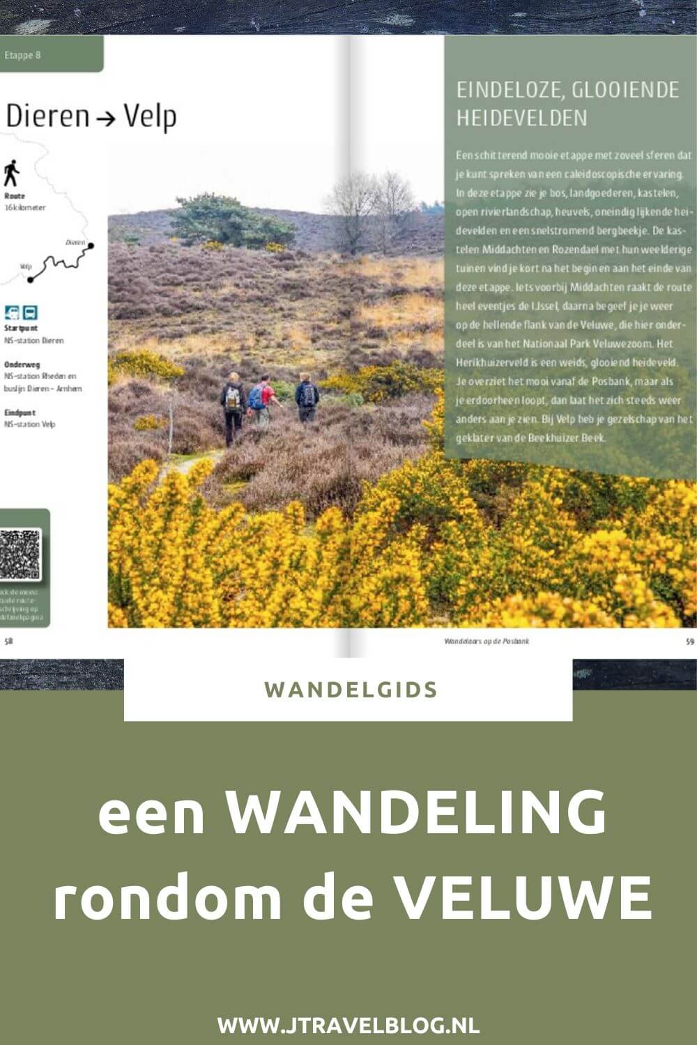 De wandelgids 'Een wandeling rondom de Veluwe', de langste boswandeling van Nederland, is een gids met 20 wandelingen rondom de Veluwe. Het is een lange afstandswandeling van 300 kilometer, verdeeld in 20 etappes. #veluwe #wandelen #wandelgids #gegarandeerdonregelmatig #jtravel #jtravelblog