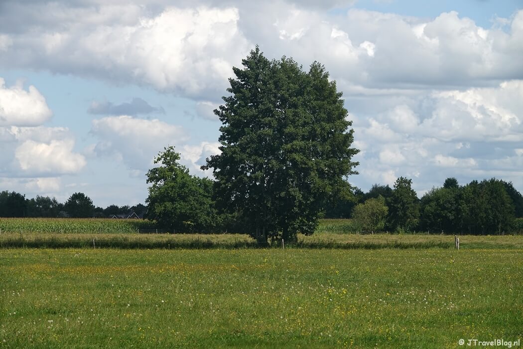 Zwetselaarsepad tijdens etappe 10 van het Pad van de Vrijheid van Lunteren naar Veenendaal De Klomp