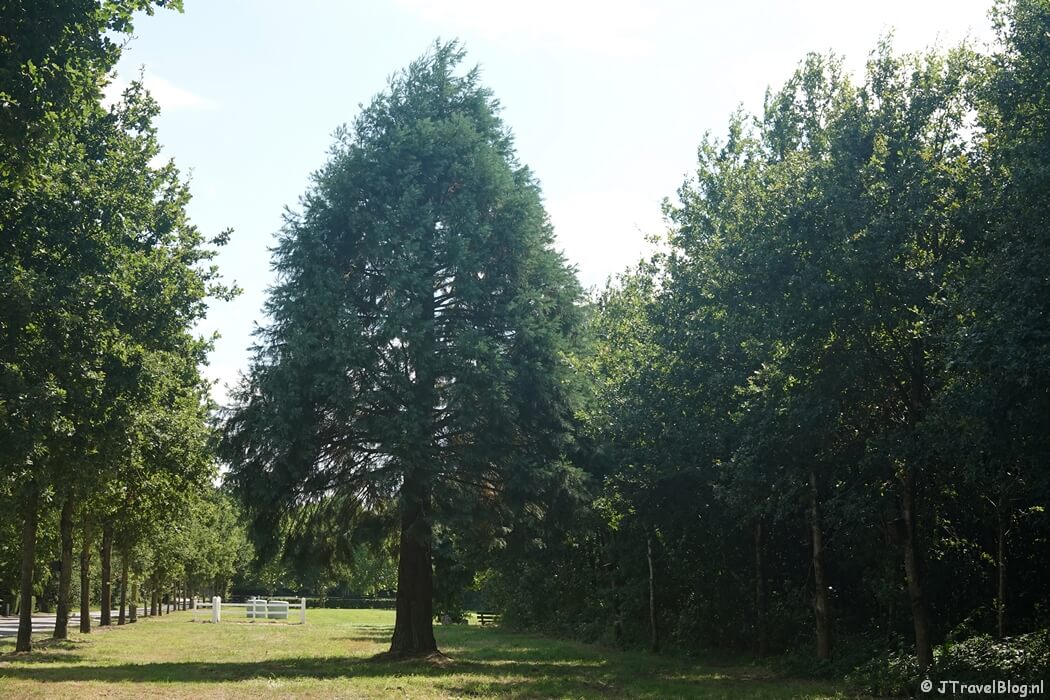 Landgoed Roodselaar tijdens etappe 10 van het Pad van de Vrijheid van Lunteren naar Veenendaal De Klomp