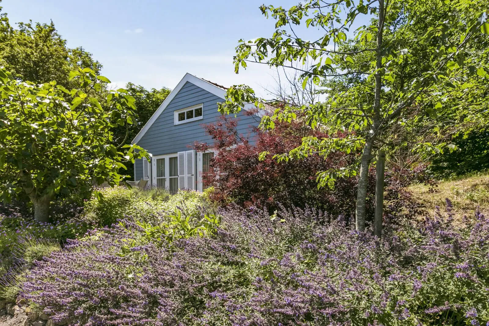 De leukste boshuisjes in Nederland : Cottage in Ouddorp - Zuid-Holland