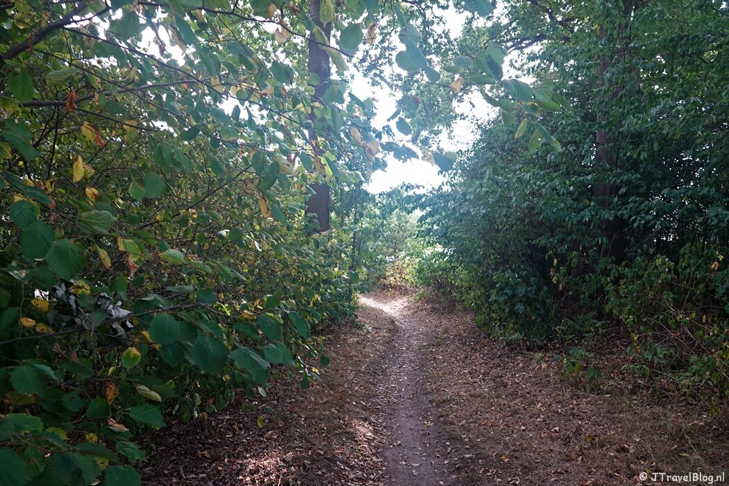 De Grebbelinie tijdens etappe 10 van het Pad van de Vrijheid van Lunteren naar Veenendaal De Klomp