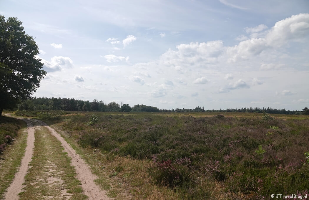 De Noorderheide tijdens de wandeling van de Groene Wissel Vierhouten