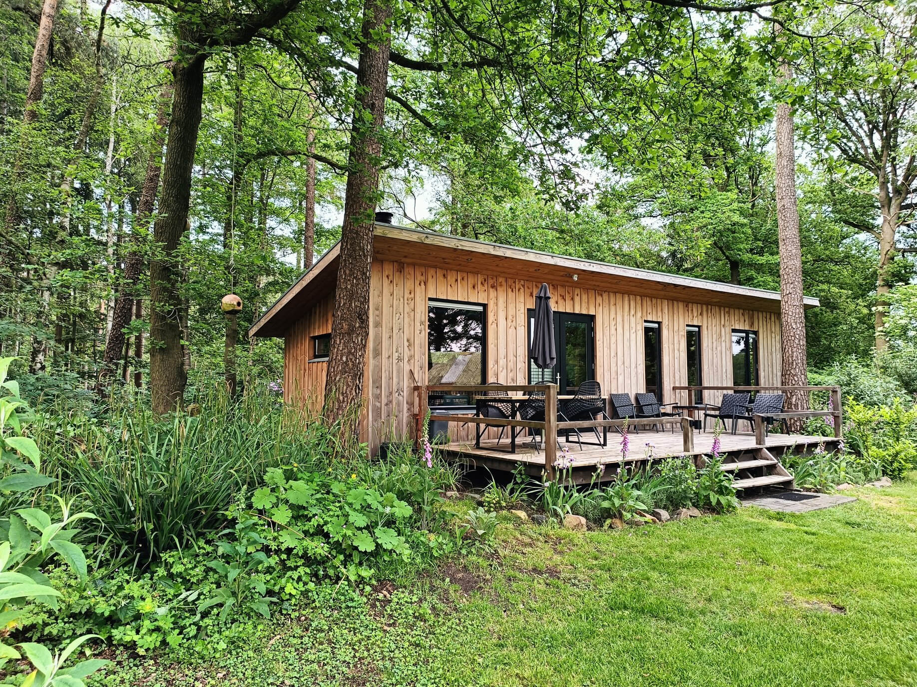 De leukste boshuisjes in Nederland : Tiny house in Lettele - Overijssel