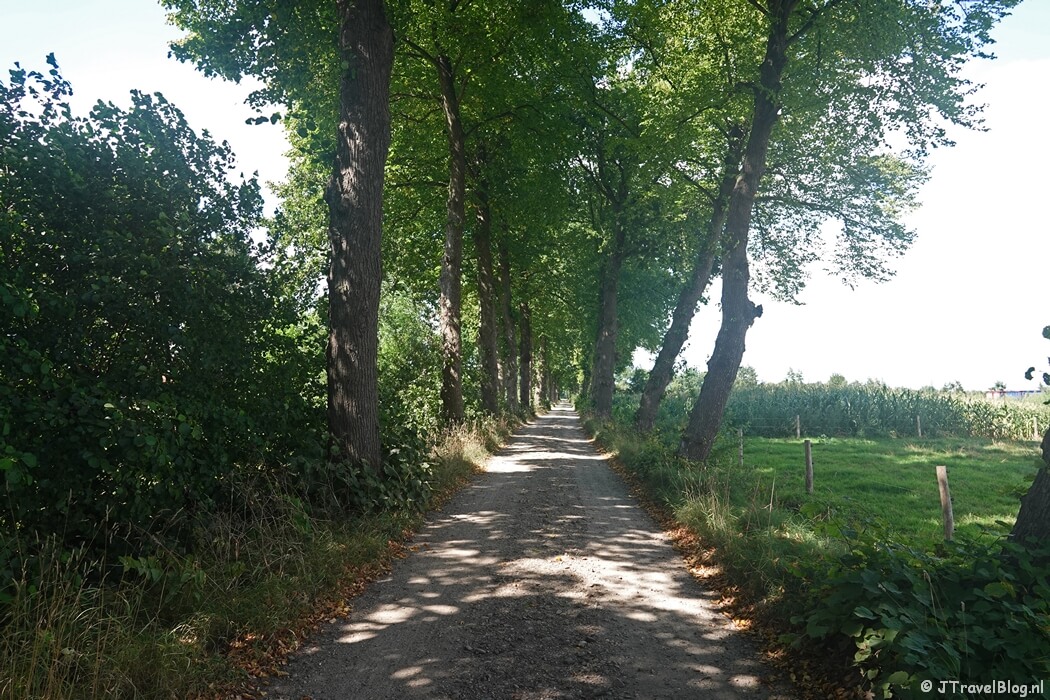 Zwetselaarsepad tijdens etappe 10 van het Pad van de Vrijheid van Lunteren naar Veenendaal De Klomp