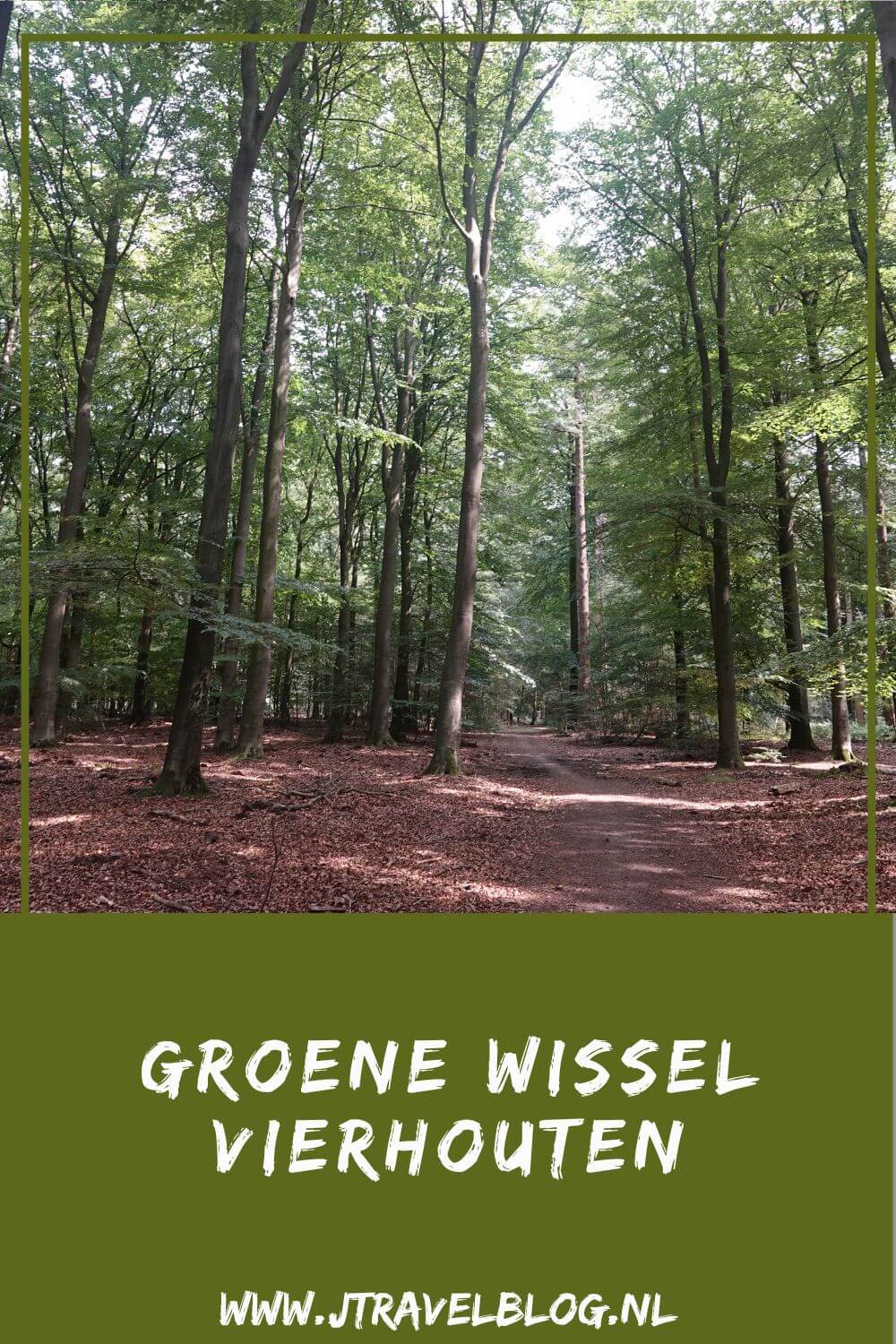 Ik liep de Groene Wissel Vierhouten vanuit het centrum van Vierhouten, door het Vierhouterbos naar Elspeet en via de Elspeetse Heide terug naar Vierhouten. Een mooie Groene Wissel over de Veluwe door een oud bos en over uitgestrekte heidevelden. #groenewissel #vierhouten #wandelen #jtravelblog #jtravel