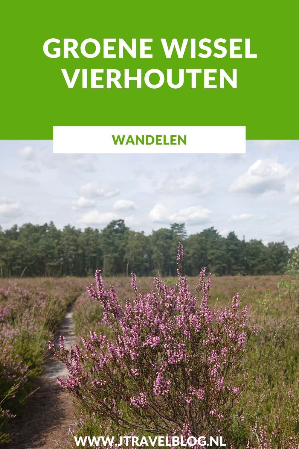 Ik liep de Groene Wissel Vierhouten vanuit het centrum van Vierhouten, door het Vierhouterbos naar Elspeet en via de Elspeetse Heide terug naar Vierhouten. Een mooie Groene Wissel over de Veluwe door een oud bos en over uitgestrekte heidevelden. #groenewissel #vierhouten #wandelen #jtravelblog #jtravel