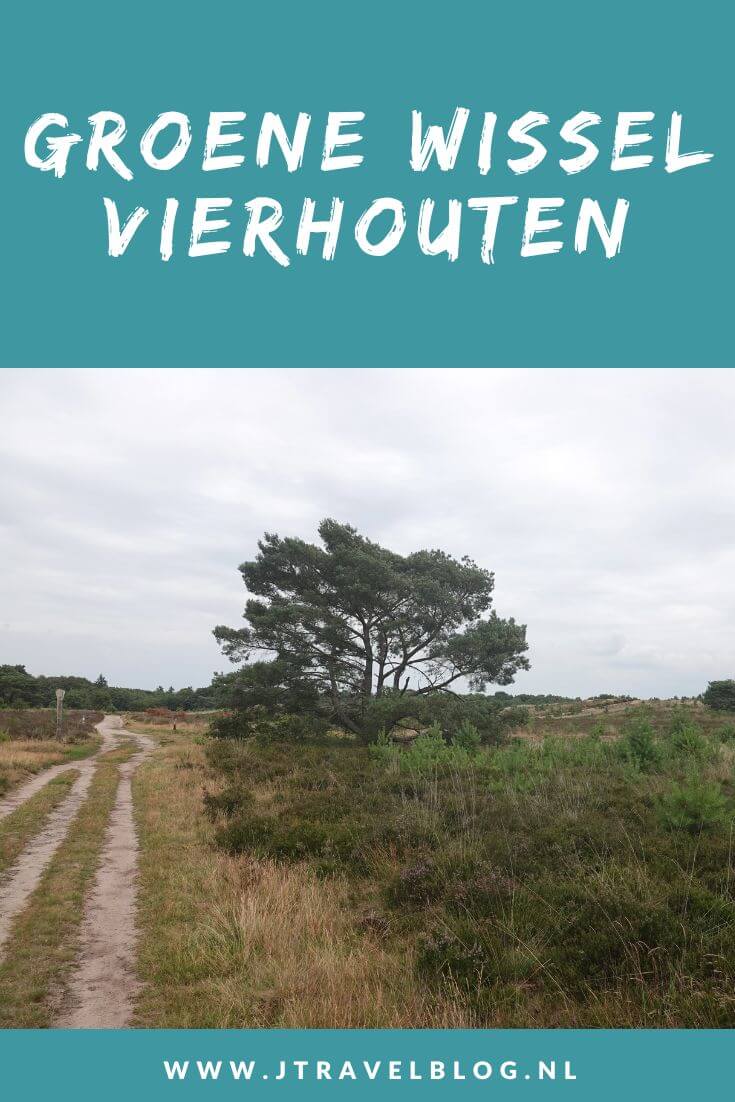 Ik liep de Groene Wissel Vierhouten vanuit het centrum van Vierhouten, door het Vierhouterbos naar Elspeet en via de Elspeetse Heide terug naar Vierhouten. Een mooie Groene Wissel over de Veluwe door een oud bos en over uitgestrekte heidevelden. #groenewissel #vierhouten #wandelen #jtravelblog #jtravel