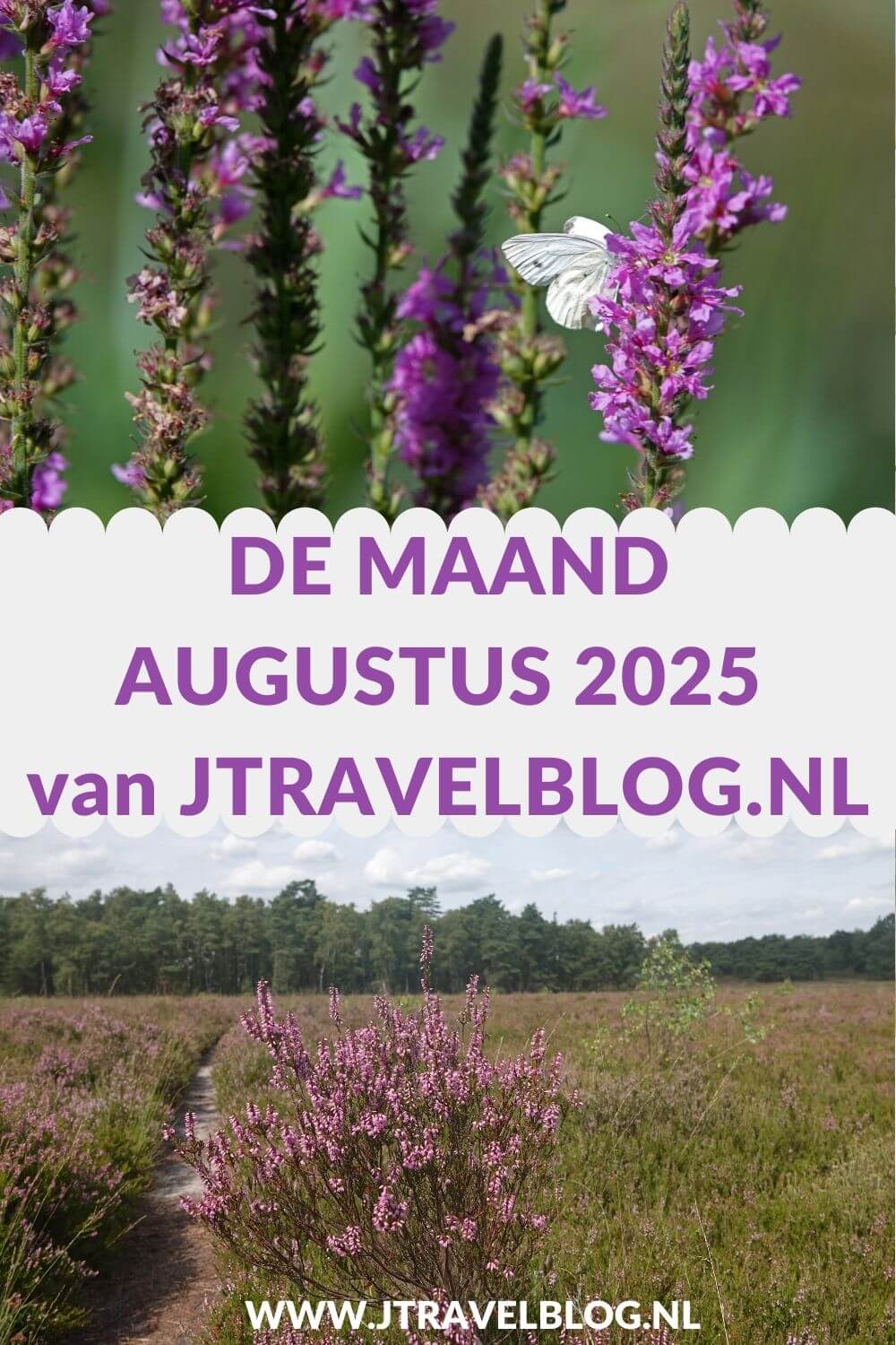 In augustus 2025 liep ik de Groene Wissel Vierhouten, de tiende etappe van het Pad van de Vrijheid en ik verbleef een week in Groningen. Meer hier over lees je in dit maandoverzicht. #maandoverzicht #augustus2025 #padvandevrijheid #groenewissel #wandelen #jtravelblog #jtravel
