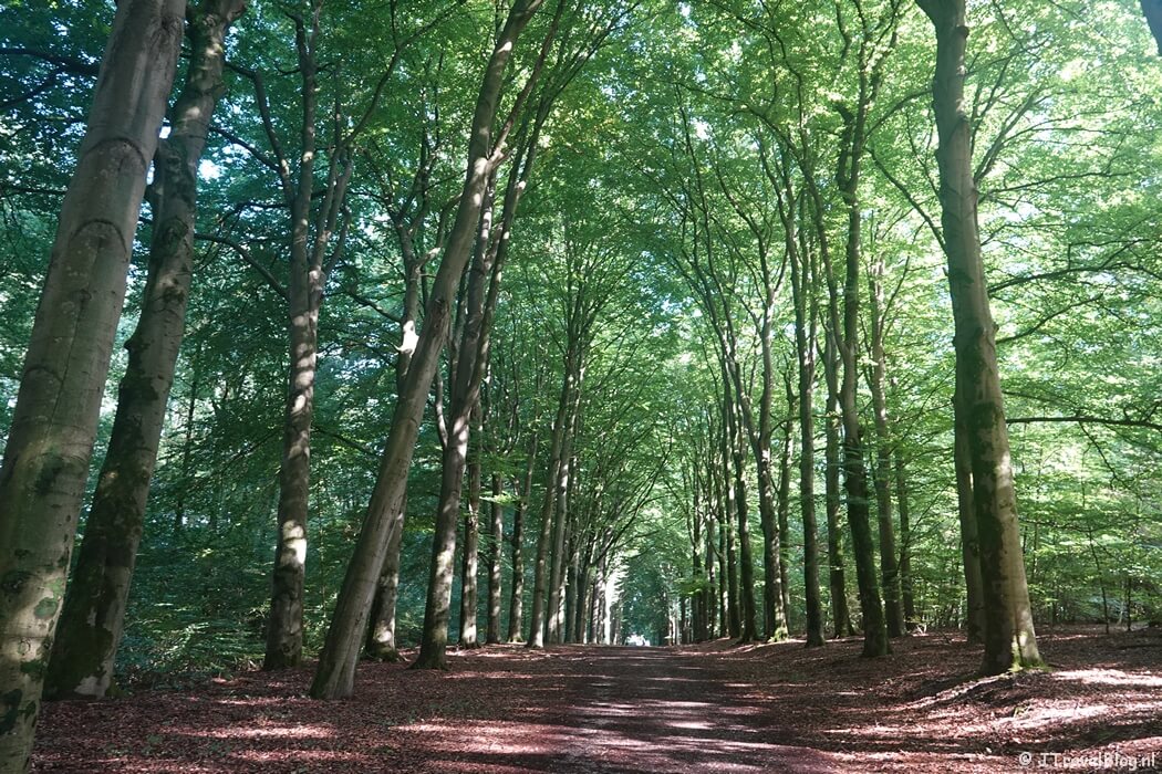 Landgoed Prattenburg tijdens etappe 11 van het Pad van de Vrijheid van Veenendaal De Klomp naar Veenendaal Prattenburg
