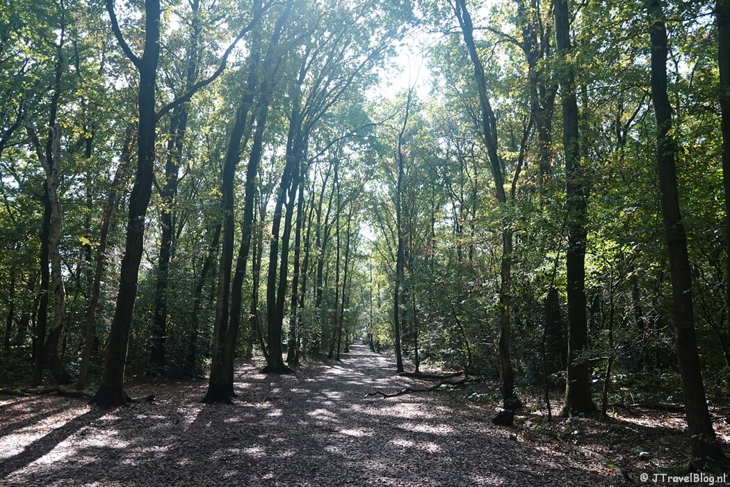 Boswachterij Amerongen tijdens etappe 11 van het Pad van de Vrijheid van Veenendaal De Klomp naar Veenendaal Prattenburg