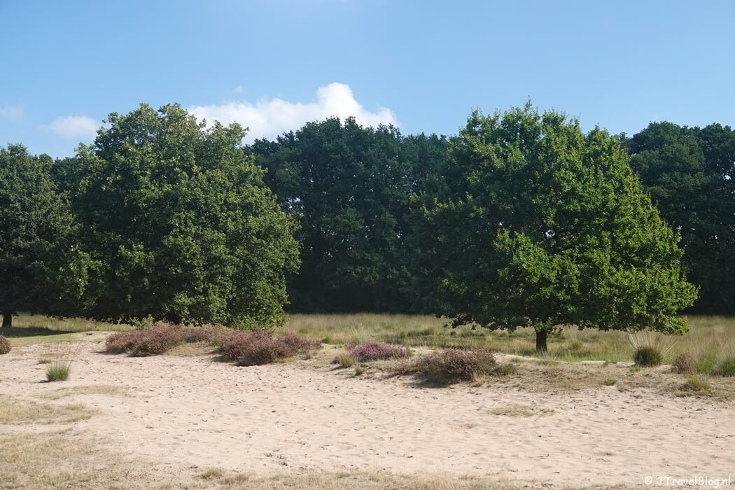 Zandverstuiving tijdens etappe 11 van het Pad van de Vrijheid van Veenendaal De Klomp naar Veenendaal Prattenburg