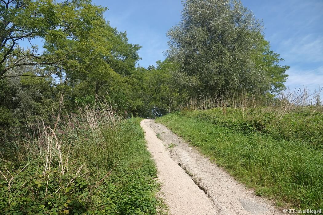 Het Haarlemmermeerse Bos tijdens de Plesmanroute in Hoofddorp