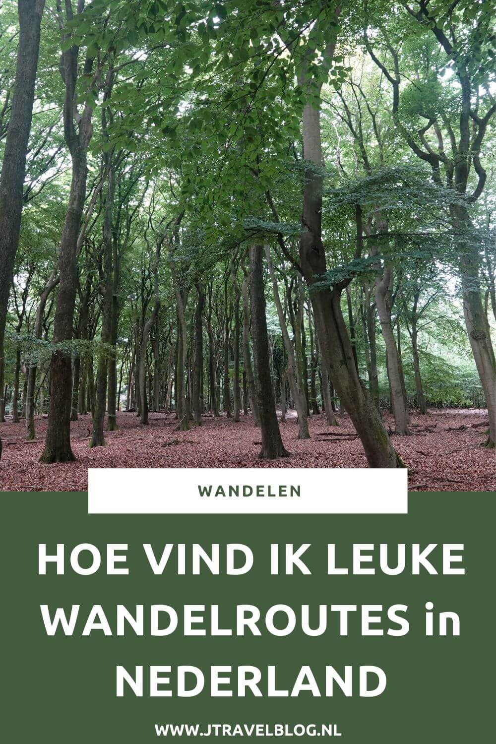 In Nederland zijn heel veel wandelpaden en wandelroutes. Ik kan me voorstellen dat je niet weet waar je moet zoeken als je een leuke wandelroute wilt vinden. In deze blog heb ik op een rijtje gezet hoe jij een mooie wandelroute kunt vinden. #websitesmetwandelroutes #wandelen #jtravelblog #jtravel