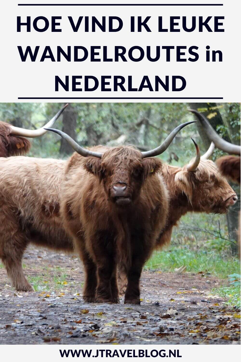 In Nederland zijn heel veel wandelpaden en wandelroutes. Ik kan me voorstellen dat je niet weet waar je moet zoeken als je een leuke wandelroute wilt vinden. In deze blog heb ik op een rijtje gezet hoe jij een mooie wandelroute kunt vinden. #websitesmetwandelroutes #wandelen #jtravelblog #jtravel
