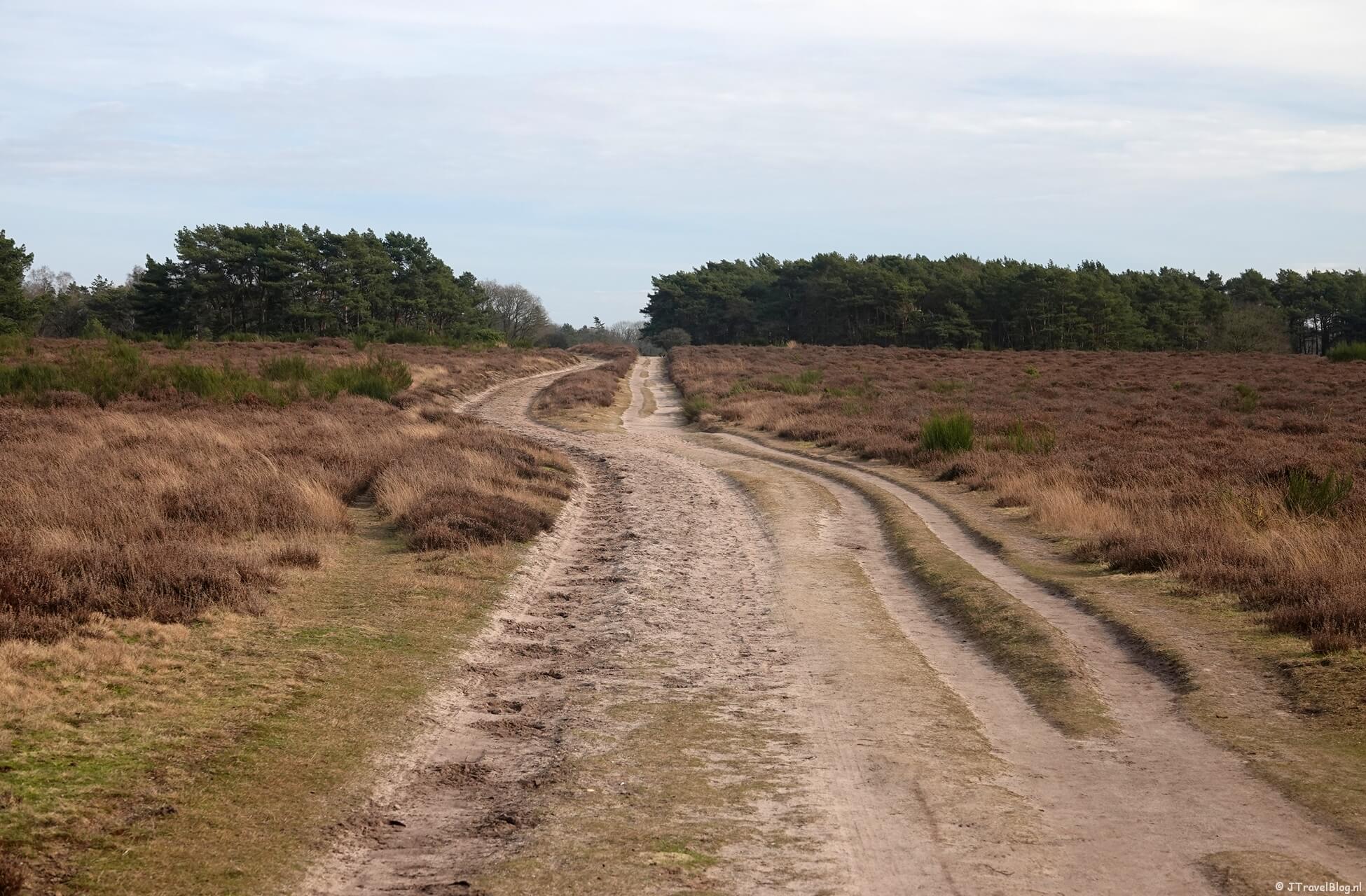 Hoe vind ik een leuke wandelroute in Nederland?