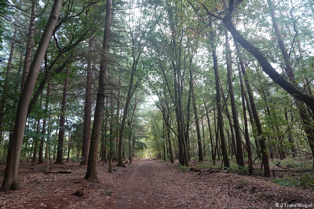 Boswachterij Amerongen tijdens etappe 11 van het Pad van de Vrijheid van Veenendaal De Klomp naar Veenendaal Prattenburg