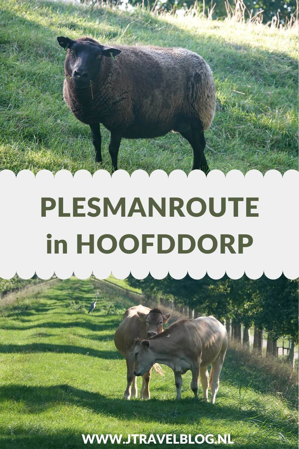Ik liep de Plesmanroute in Hoofddorp, een wandelroute van Wandelnetwerk Noord-Holland met een lengte van 7,10 kilometer. Wandel je mee? #plesmanroute #haarlemmermeersebos #plesmanhoek #buitenschot #hoofddorp #wandelnetwerknoordholland #wandelen #jtravelblog #jtravel