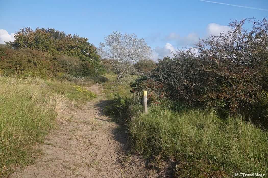 De aanlooproute tijdens de gele route vanaf ingang Wurmenveld Nationaal Park Zuid-Kennemerland