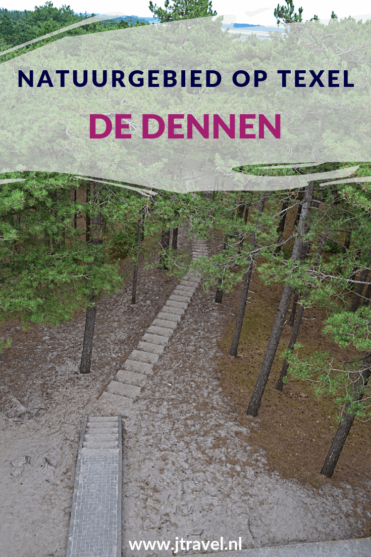 De Dennen is een bos dat ligt tussen De Koog en Den Hoorn en maakt deel uit van het Nationaal Park Duinen van Texel. Je kunt hier wandelen, fietsen, paardrijden en picknicken. Wil je meer weten over De Dennen, lees dan mijn website. Lees je mee? #dedennen #texel #wandelen #waddeneiland #nederland #natuurgebied #jtravel #jtravelblog