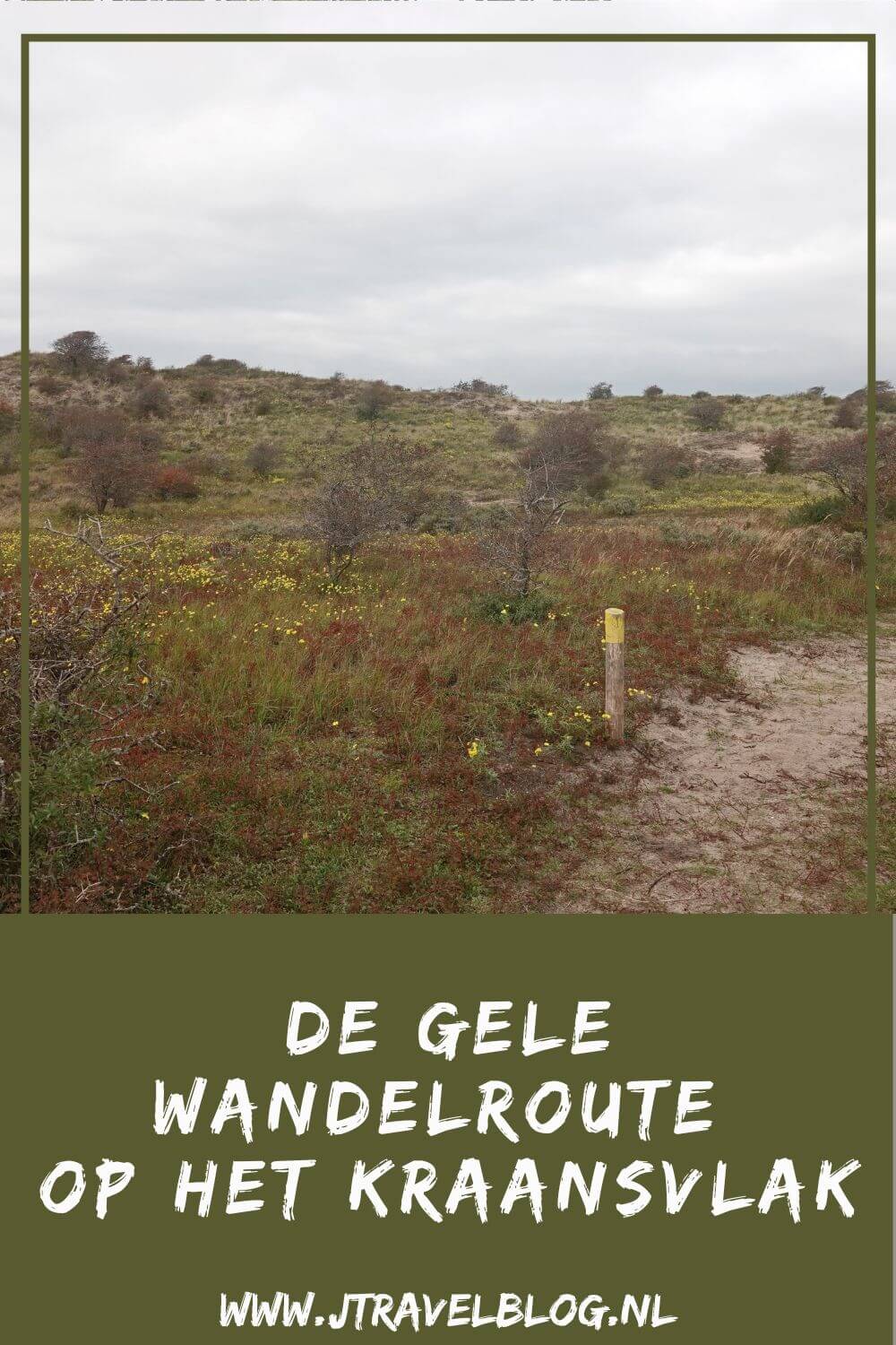Ik liep de gele wandelroute vanaf ingang Wurmenveld in Nationaal park Zuid-Kennemerland, op zoek naar wisenten, Deze wandeling maak ik aan de hand van de gele routepaaltjes op het Kraansvlak. Mijn route en de achtergronden lees je in deze blog. #nationaalparkzuidkennemerland #ingangwurmenveld #wandelen #jtravelblog #jtravel