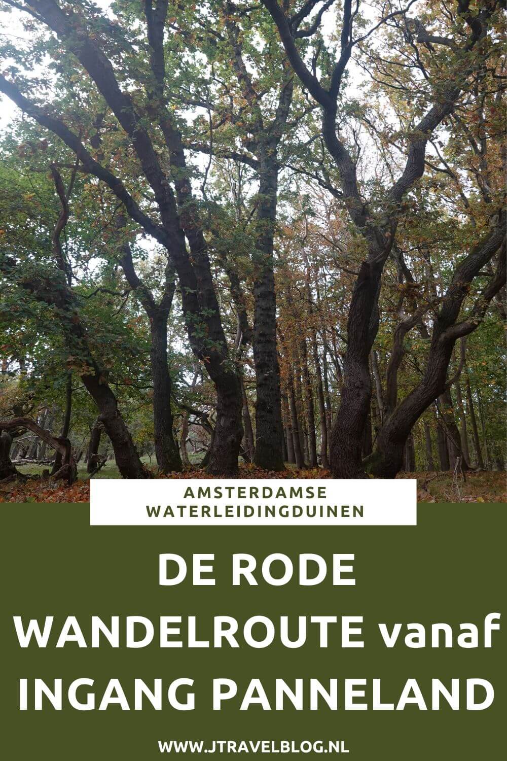 Ik liep de rode wandelroute vanaf ingang Panneland in de Amsterdamse Waterleidingduinen. Deze wandeling maak ik aan de hand van de rode routepaaltjes over een afstand van 3,8 kilometer. Mijn route en de achtergronden lees je in deze blog. #ingangpanneland #amsterdamsewaterleidingduinen #awd #wandelen #jtravel #jtravelblog