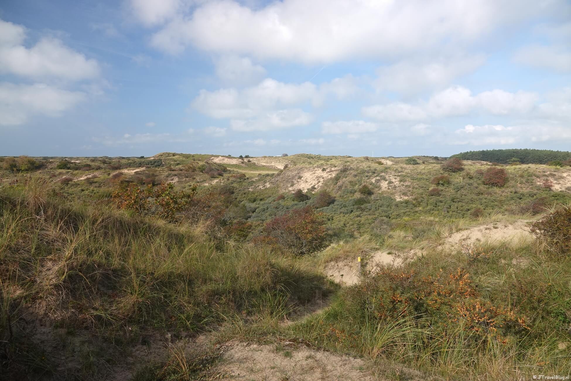 De gele route vanaf ingang Wurmenveld Nationaal Park Zuid-Kennemerland
