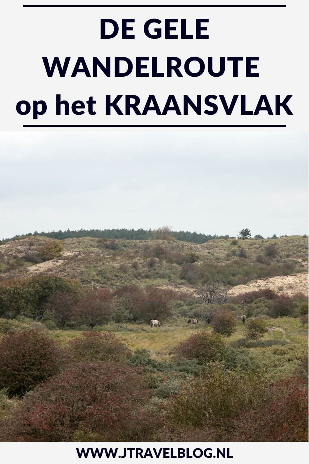 Ik liep de gele wandelroute vanaf ingang Wurmenveld in Nationaal park Zuid-Kennemerland, op zoek naar wisenten, Deze wandeling maak ik aan de hand van de gele routepaaltjes op het Kraansvlak. Mijn route en de achtergronden lees je in deze blog. #nationaalparkzuidkennemerland #ingangwurmenveld #wandelen #jtravelblog #jtravel