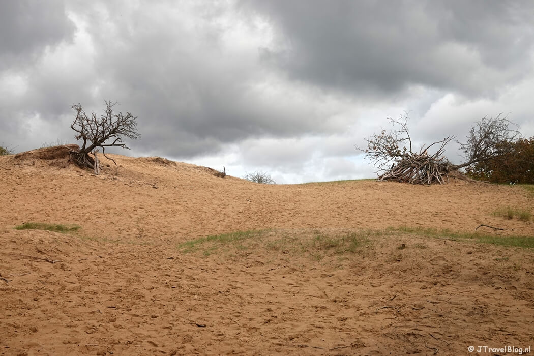 Graaflandsbergen tijdens de rode wandelroute vanaf ingang Panneland in de Amsterdamse Waterleidingduinen