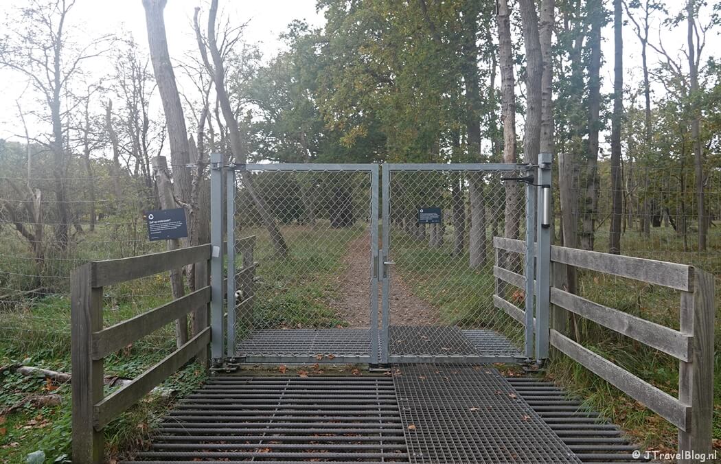 Het hek tijdens de rode wandelroute vanaf ingang Panneland in de Amsterdamse Waterleidingduinen