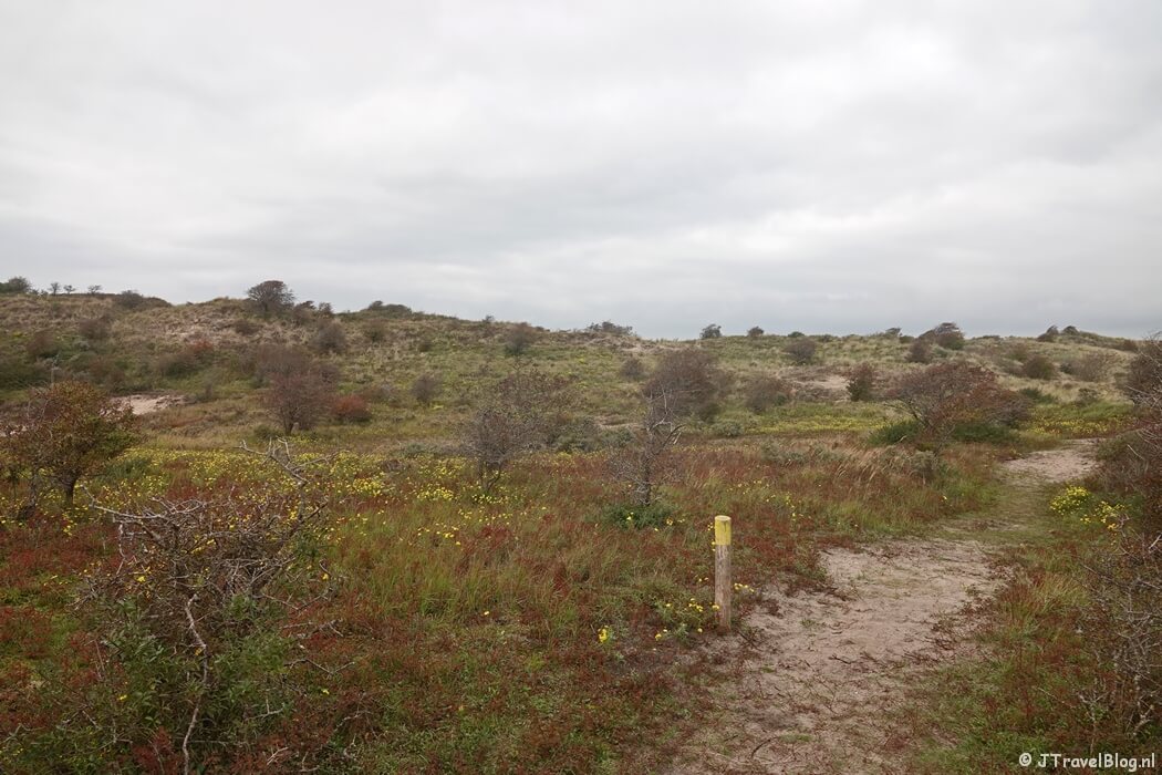 Kraansvlak tijdens de gele route vanaf ingang Wurmenveld Nationaal Park Zuid-Kennemerland