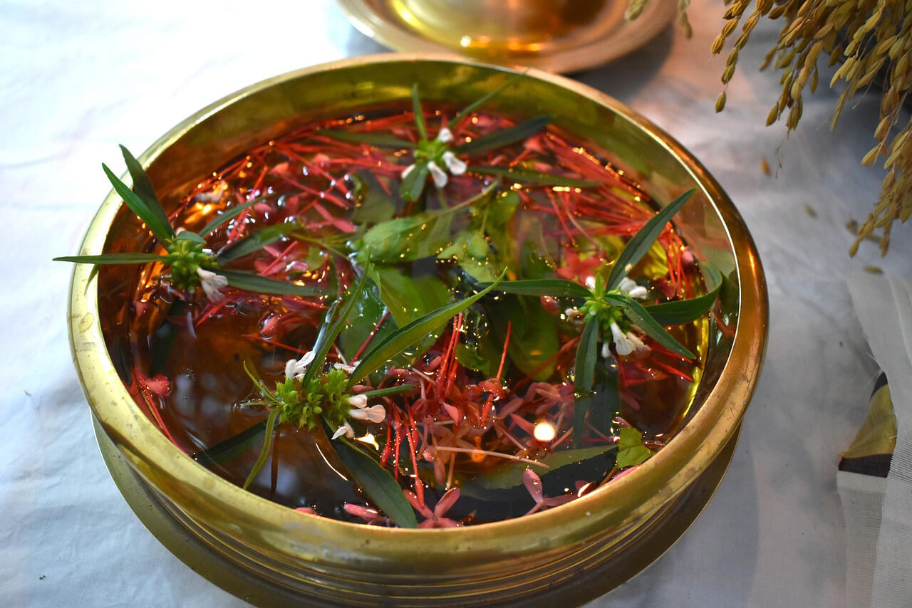 Kerala, nr. 22 in Lonely Planetโs Best in Travel 2026 : 25 ervaringen