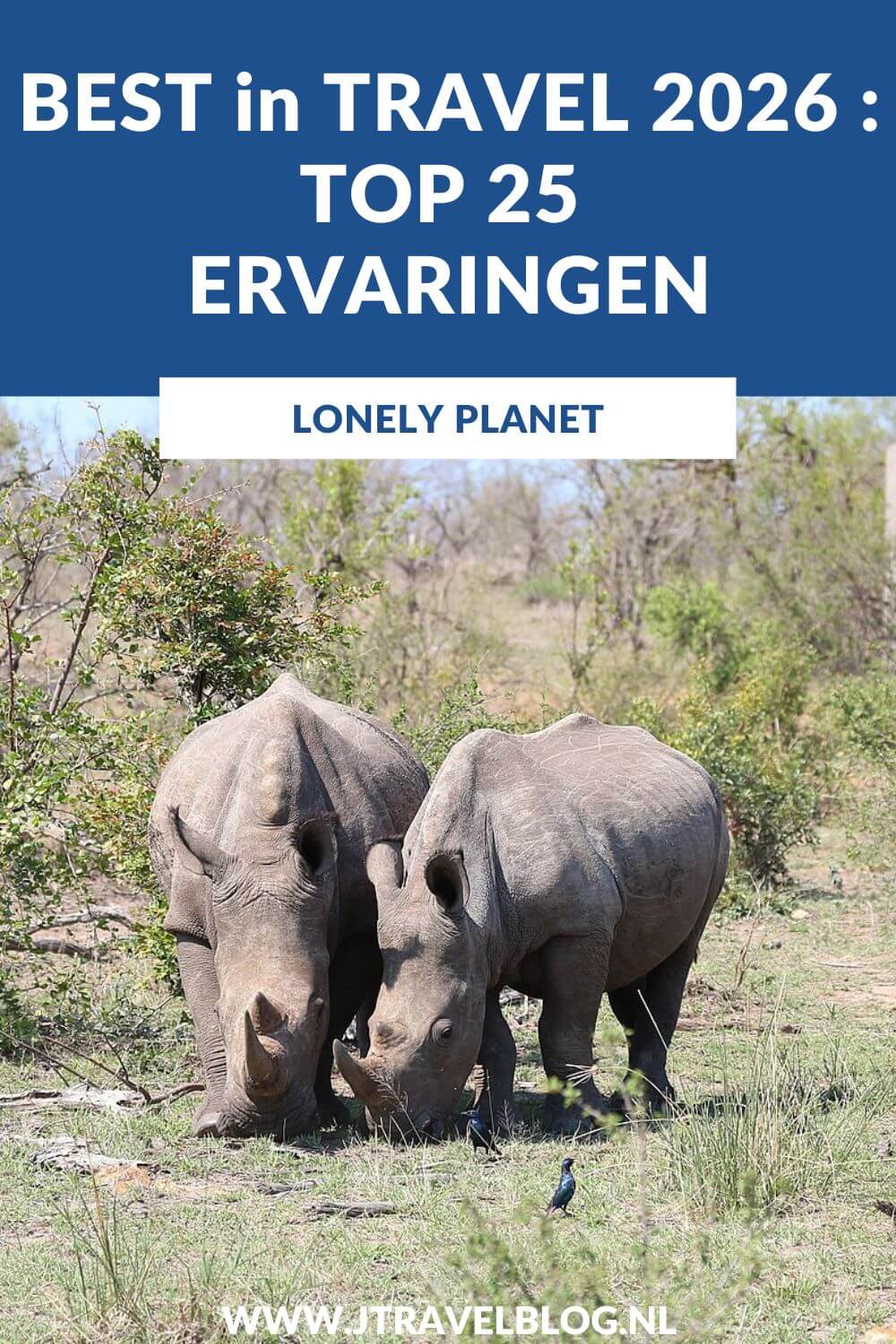 Elk jaar verschijnt eind oktober de Lonely Planet's Best in Travel. Deze lijst is dit jaar onderverdeeld in een top 25 beste bestemmingen en een top 25 ervaringen. In deze blog geef ik je een dosis reisinspiratie met de Lonely Planetโs Best in Travel 2026 : 25 ervaringen. #lonelyplanet #bestintravel2026 #reisinspiratie #jtravelblog #jtravel