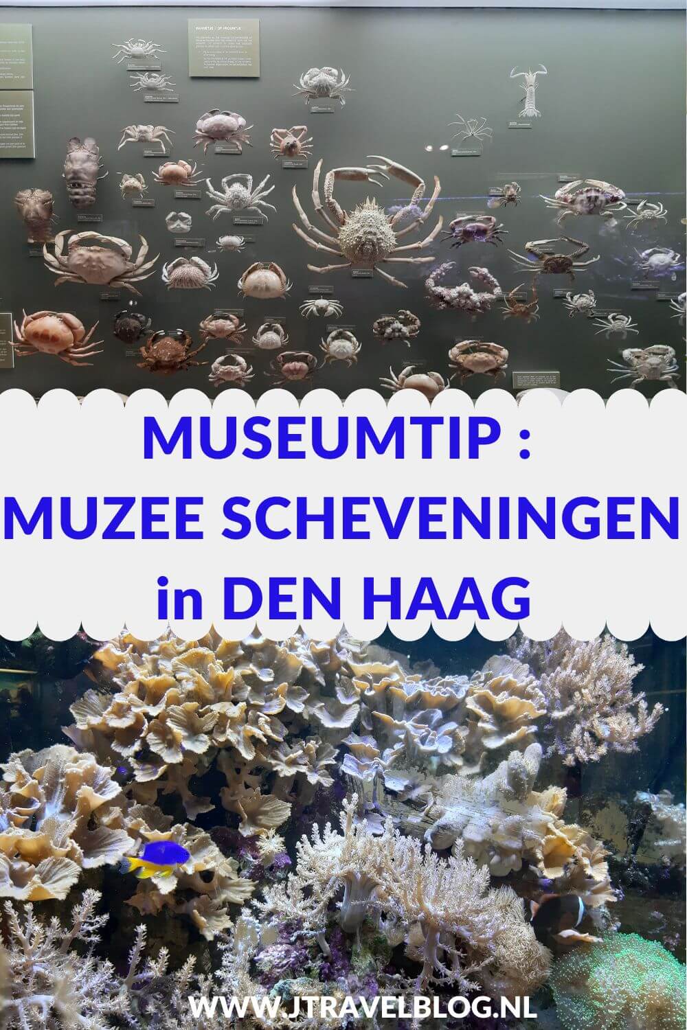 In Muzee Scheveningen in Den Haag ontdek je de geschiedenis van Scheveningen als vissersplaats en badplaats. De museumcollectie geeft een overzicht van de visserij en het dagelijkse leven van toen en nu.Meer lees je in deze blog. Lees je mee? #muzeescheveningen #scheveningen #denhaag #museum #museumkaart #jtravelblog #jtravel