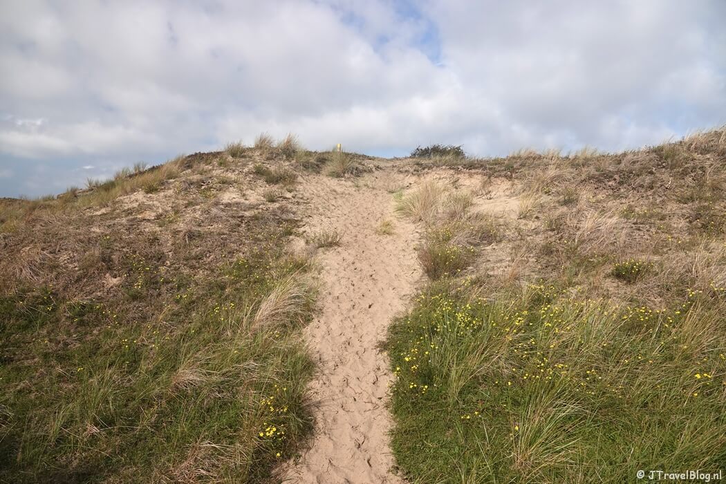 Kraansvlak tijdens de gele route vanaf ingang Wurmenveld Nationaal Park Zuid-Kennemerland