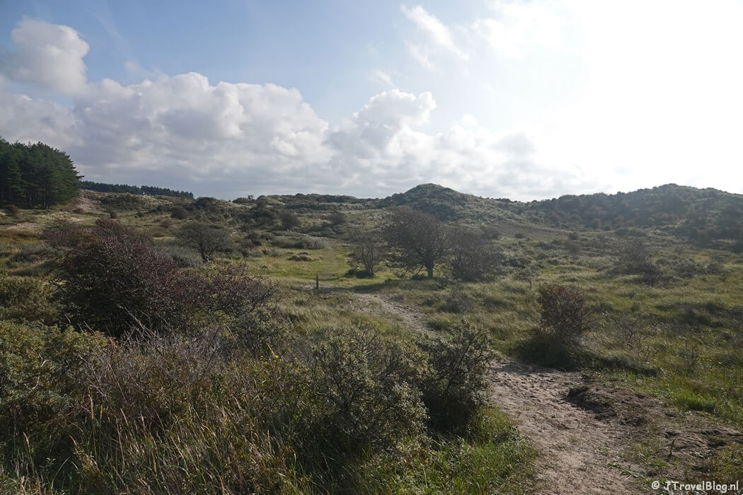 Kraansvlak tijdens de gele route vanaf ingang Wurmenveld Nationaal Park Zuid-Kennemerland