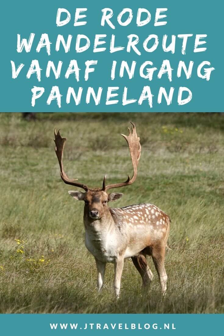 Ik liep de rode wandelroute vanaf ingang Panneland in de Amsterdamse Waterleidingduinen. Deze wandeling maak ik aan de hand van de rode routepaaltjes over een afstand van 3,8 kilometer. Mijn route en de achtergronden lees je in deze blog. #ingangpanneland #amsterdamsewaterleidingduinen #awd #wandelen #jtravel #jtravelblog
