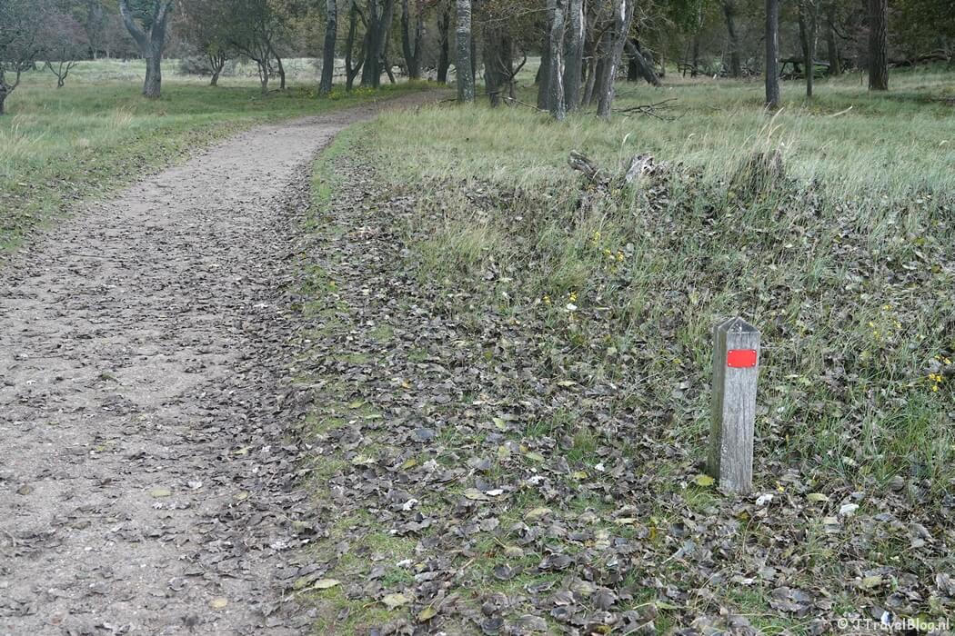Een rood routepaaltje tijdens de rode wandelroute vanaf ingang Panneland in de Amsterdamse Waterleidingduinen