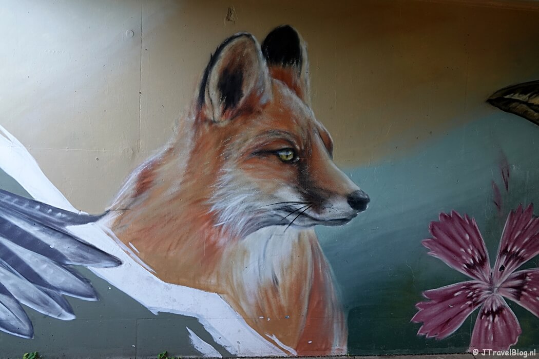 Street art tijdens de gele route vanaf ingang Wurmenveld Nationaal Park Zuid-Kennemerland