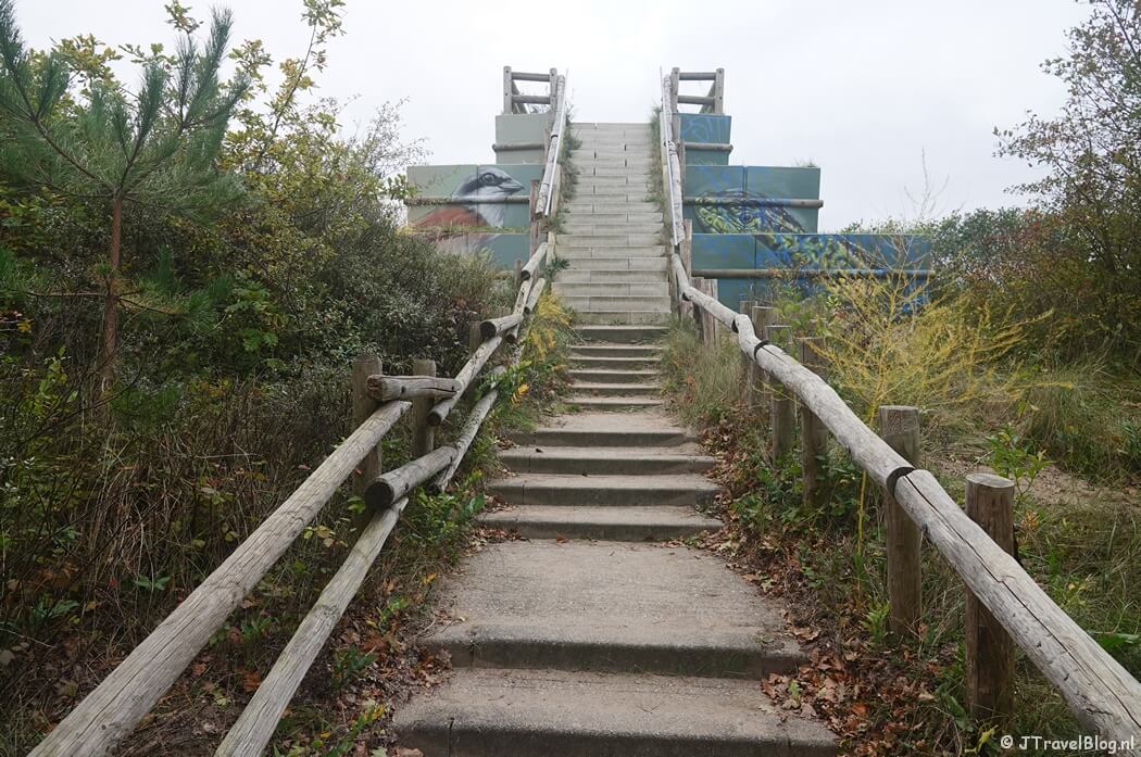 Het uitkijkpunt Visserschpad tijdens de gele route vanaf ingang Wurmenveld Nationaal Park Zuid-Kennemerland