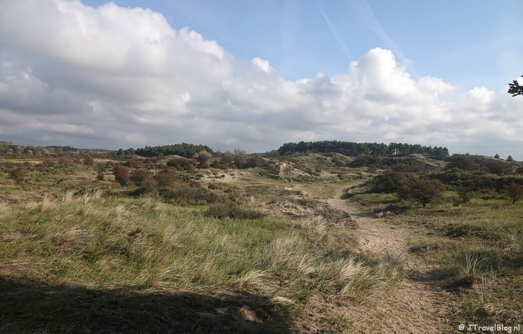 Kraansvlak tijdens de gele route vanaf ingang Wurmenveld Nationaal Park Zuid-Kennemerland