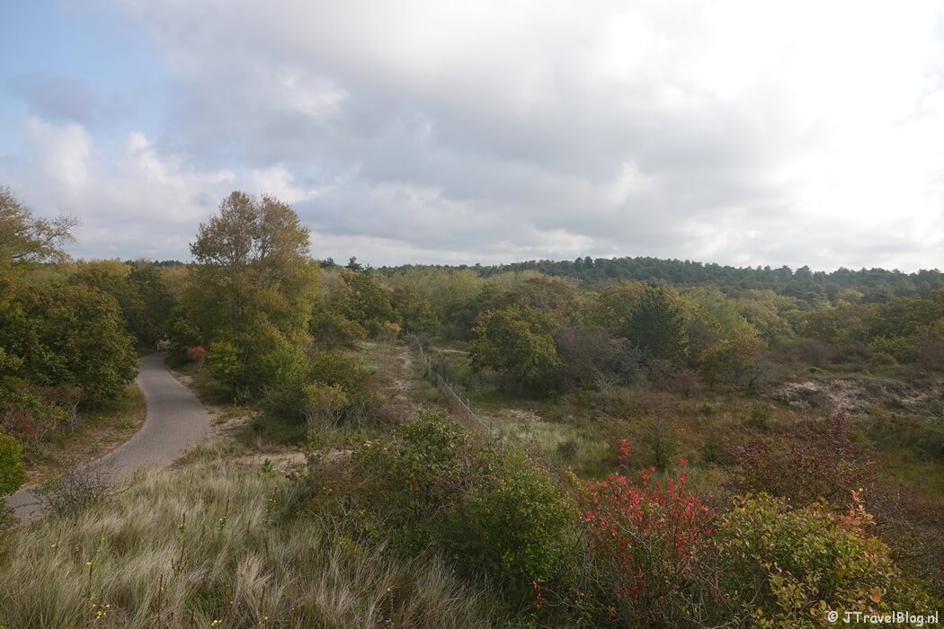 Vanaf het uitkijkpunt bij het Visserschpad tijdens de gele route vanaf ingang Wurmenveld Nationaal Park Zuid-Kennemerland
