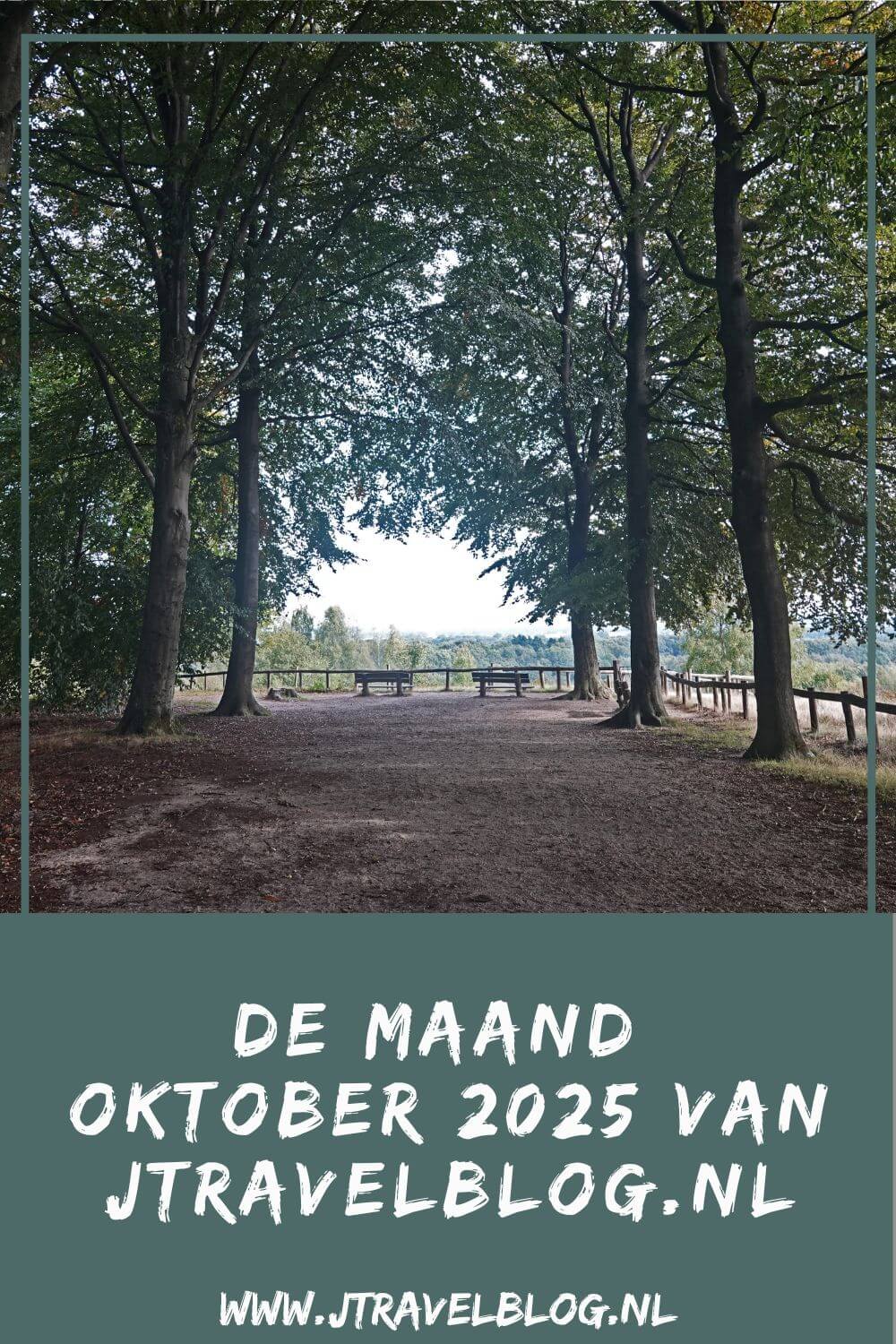 In oktober 2025 liep ik de 12e en 13e etappe van het Pad van de Vrijheid, maakte ik wandelingen langs street art werken in Rotterdam en maakte ik wandelingen in Nationaal Park Zuid-Kennemerland en de Amsterdamse Waterleidingduinen. Meer hier over lees je in dit maandoverzicht. #maandoverzicht #oktober2025 #padvandevrijheid #awd #rotterdam #nationaalparkzuidkennmerland #wandelen #jtravelblog #jtravel