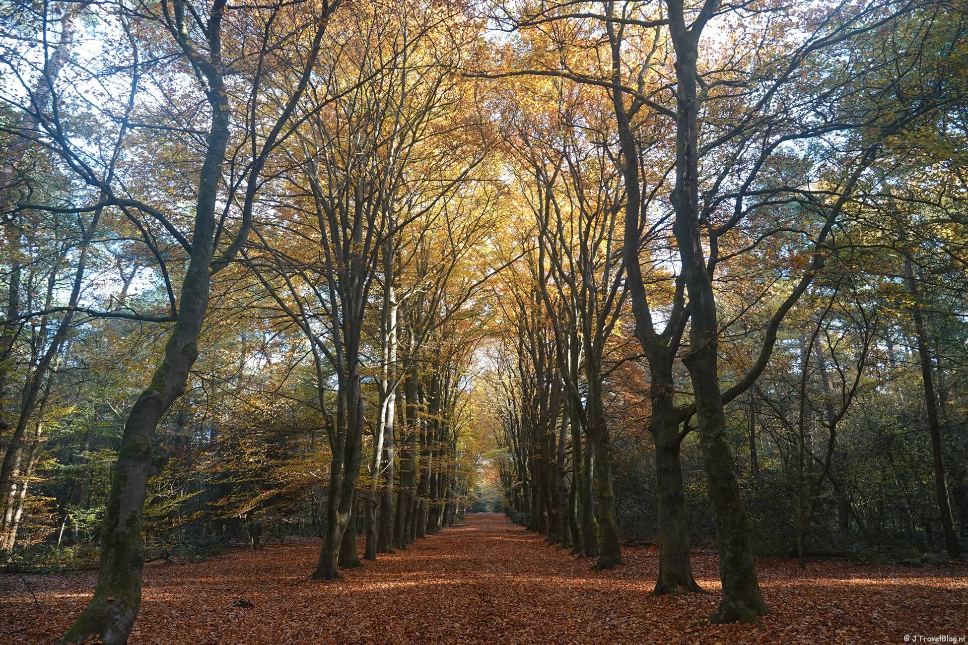 Groene Wissel Maarn : Huis te Maarn en Kaapse Bossen