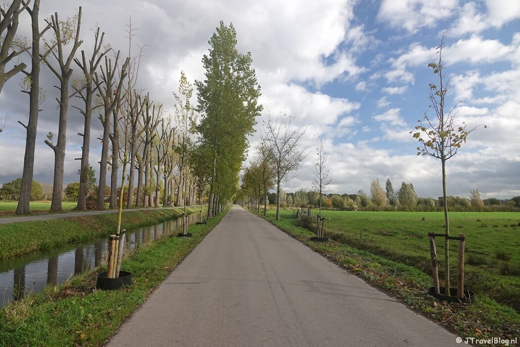 Haarwal tijdens etappe 13 van het Pad van de Vrijheid van Rhenen naar Wageningen