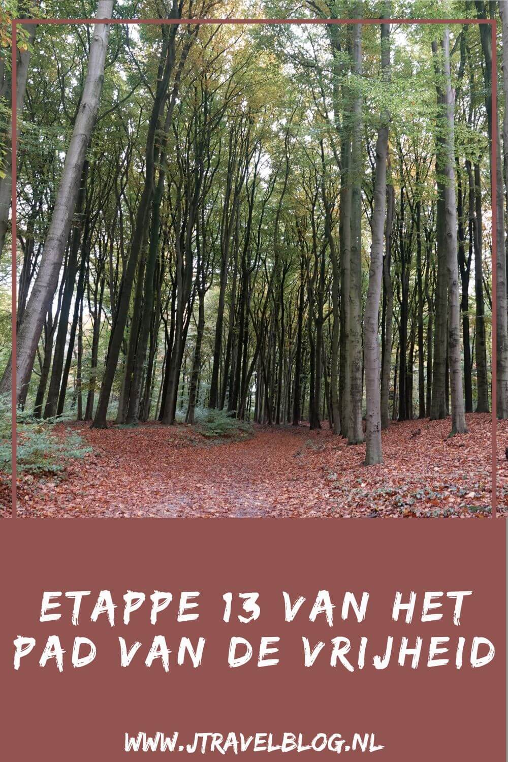 Een verslag van etappe 13 van het Pad van de Vrijheid. Deze dertiende etappe loopt van Rhenen naar Wageningen over een afstand van 12 kilometer. Mijn belevenissen en mijn route lees je in deze blog. Loop je mee? #padvandevrijheid #etappe13 #rhenen #wageningen #geschiedenis #tweedewereldoorlog #wandelen #hiken #jtravelblog #jtravel