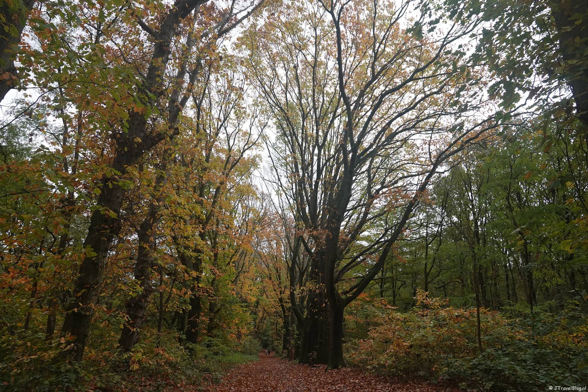 Pad van de Vrijheid etappe 13 : Rhenen – Wageningen